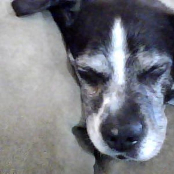 Meet your Posher, Shane - Picture 1 of 1